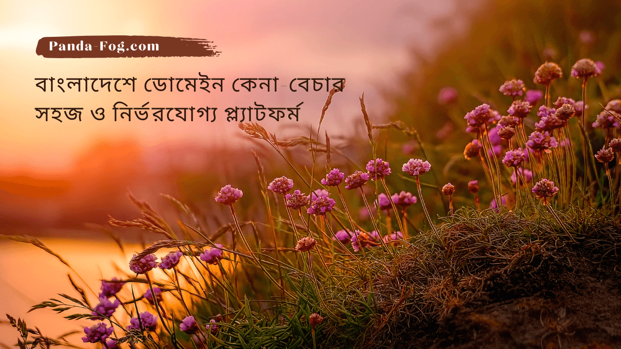 Panda-Fog.com – বাংলাদেশে ডোমেইন কেনা-বেচার সহজ ও নির্ভরযোগ্য প্ল্যাটফর্ম - Read the latest news