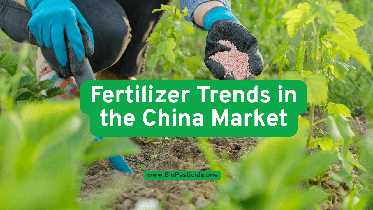 Fertilizer Trends in the China Market