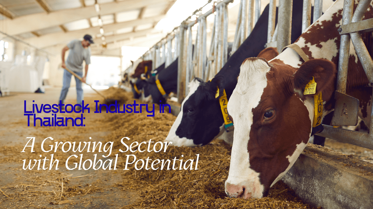 Livestock in Thailand Opportunities, Trends, and Growth Potential