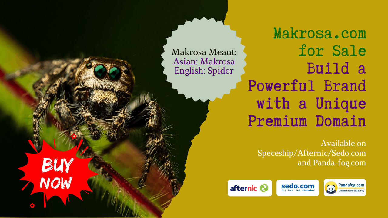 Why Makrosa.com Is a Brandable Premium Domain for Modern Businesses