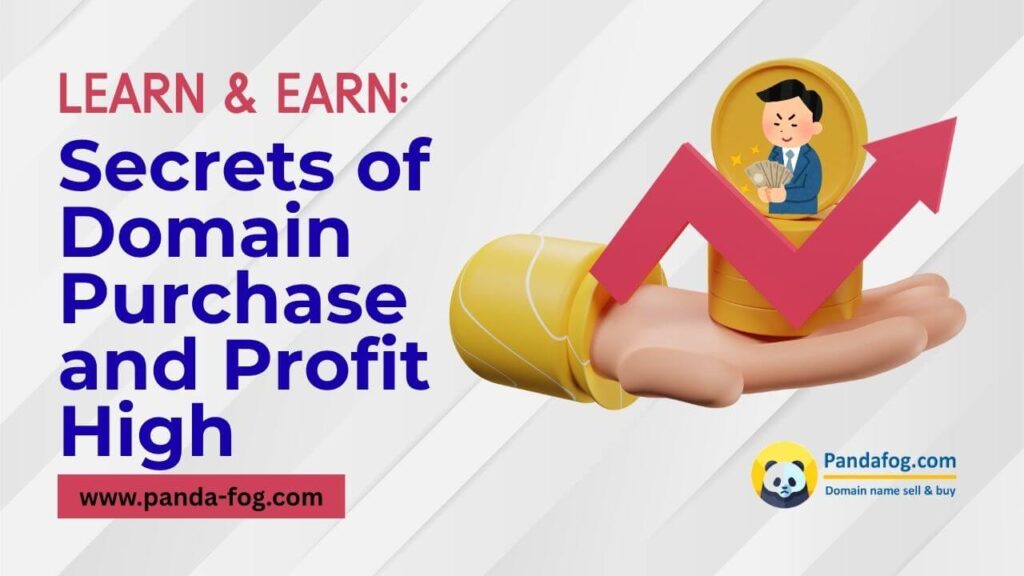 Secrets of Domain Purchase and Profit High